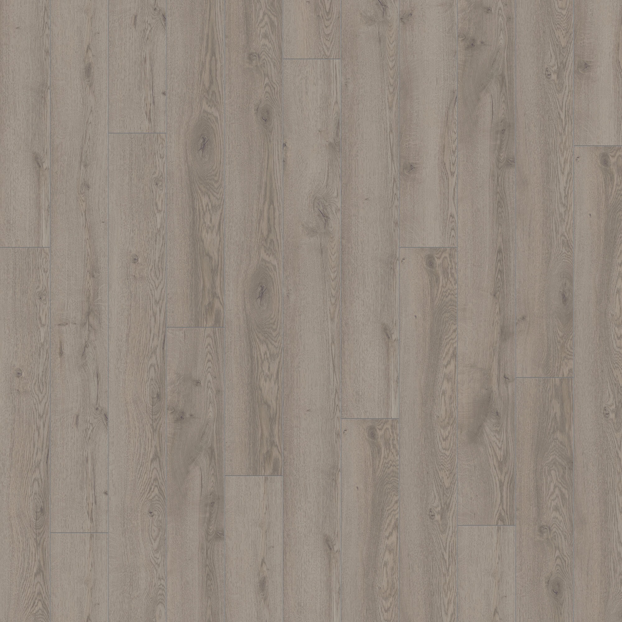 Ламінат Kronotex - Mountain Oak Grey, артикул D 4727, 33 клас, 12 мм. Колекція Mammut. Виробництво Німеччина.