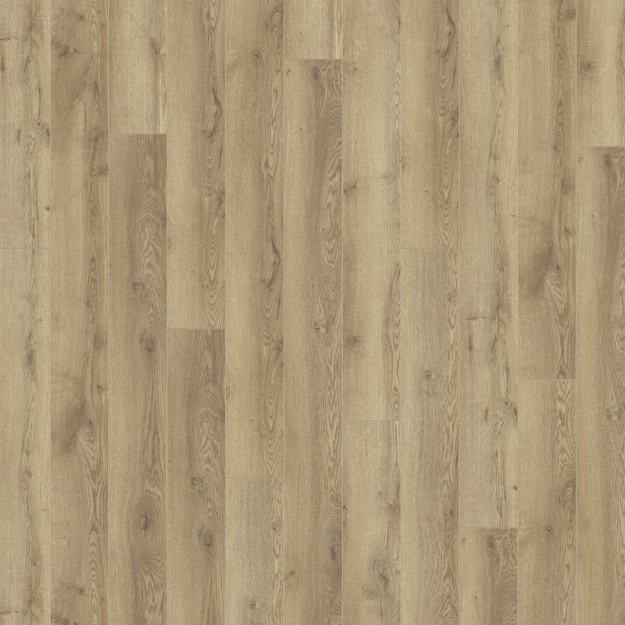 Ламінат Kronotex - Mountain Oak Nature, артикул D 4725, 33 клас, 12 мм. Колекція Mammut. Виробництво Німеччина.