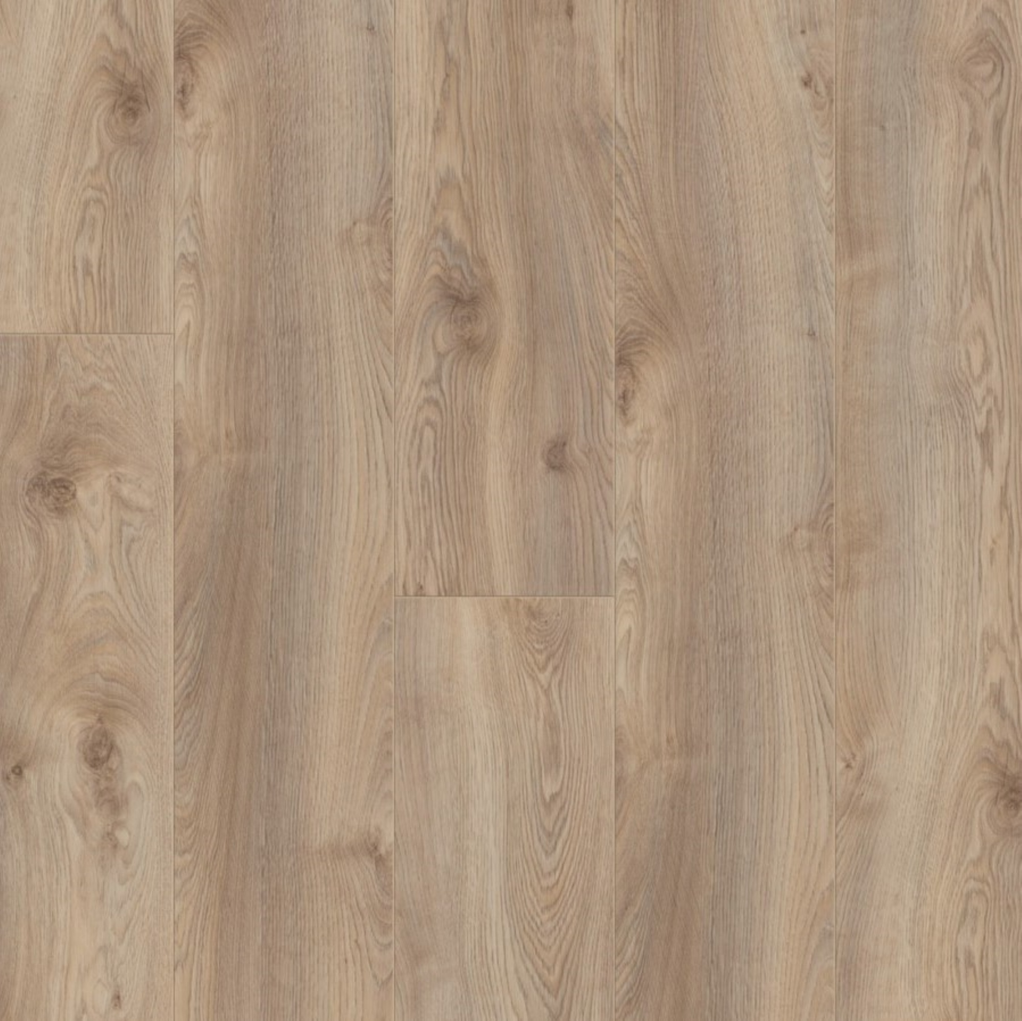 Ламінат Kronotex - Makro Oak Beige, артикул D 3669., 33 клас, 10 мм. Колекція Mammut Plus. Виробництво Німеччина.
