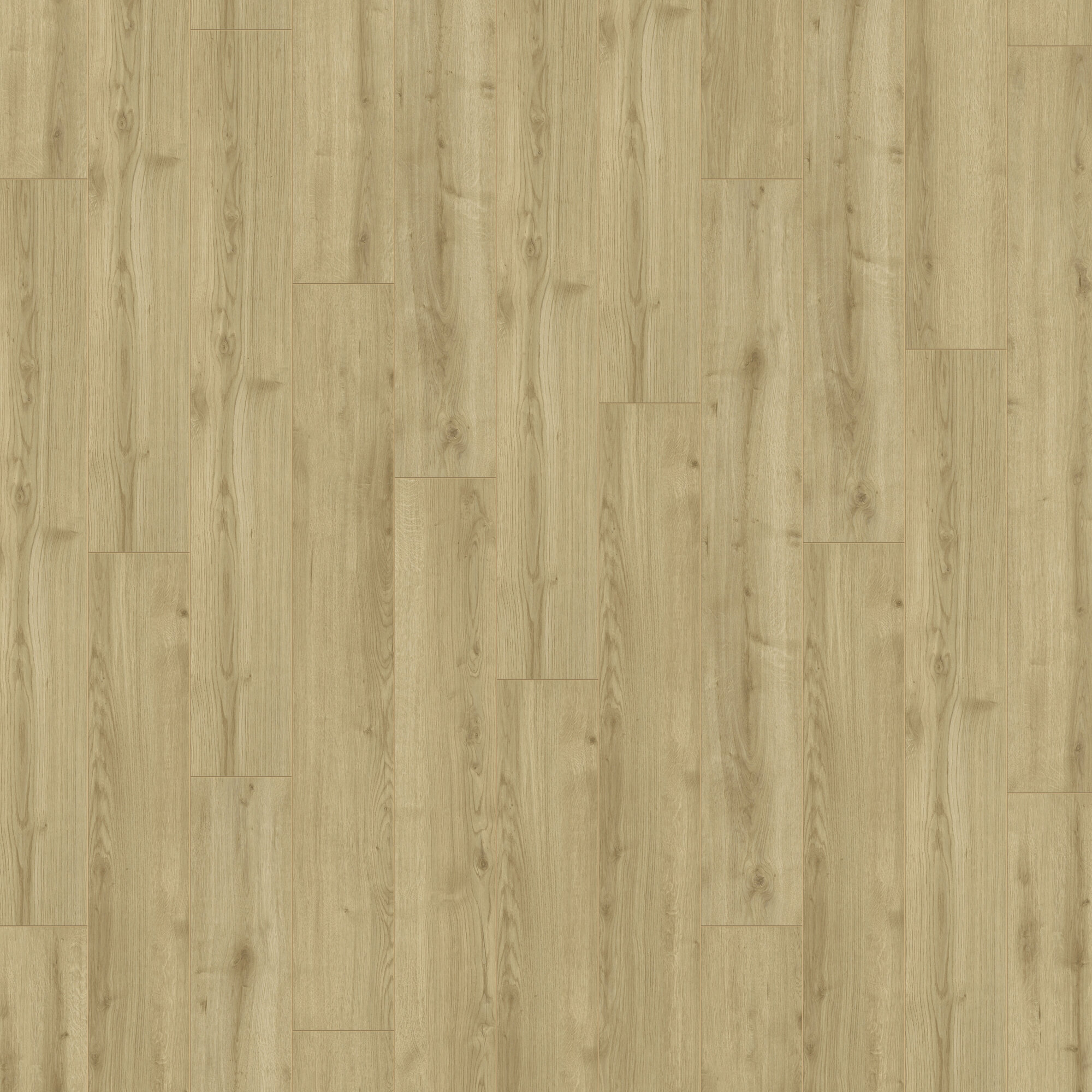 Ламінат Kronotex - Adaja Oak, артикул D 4686, 33 клас, 12 мм. Колекція Robusto. Виробництво Німеччина.