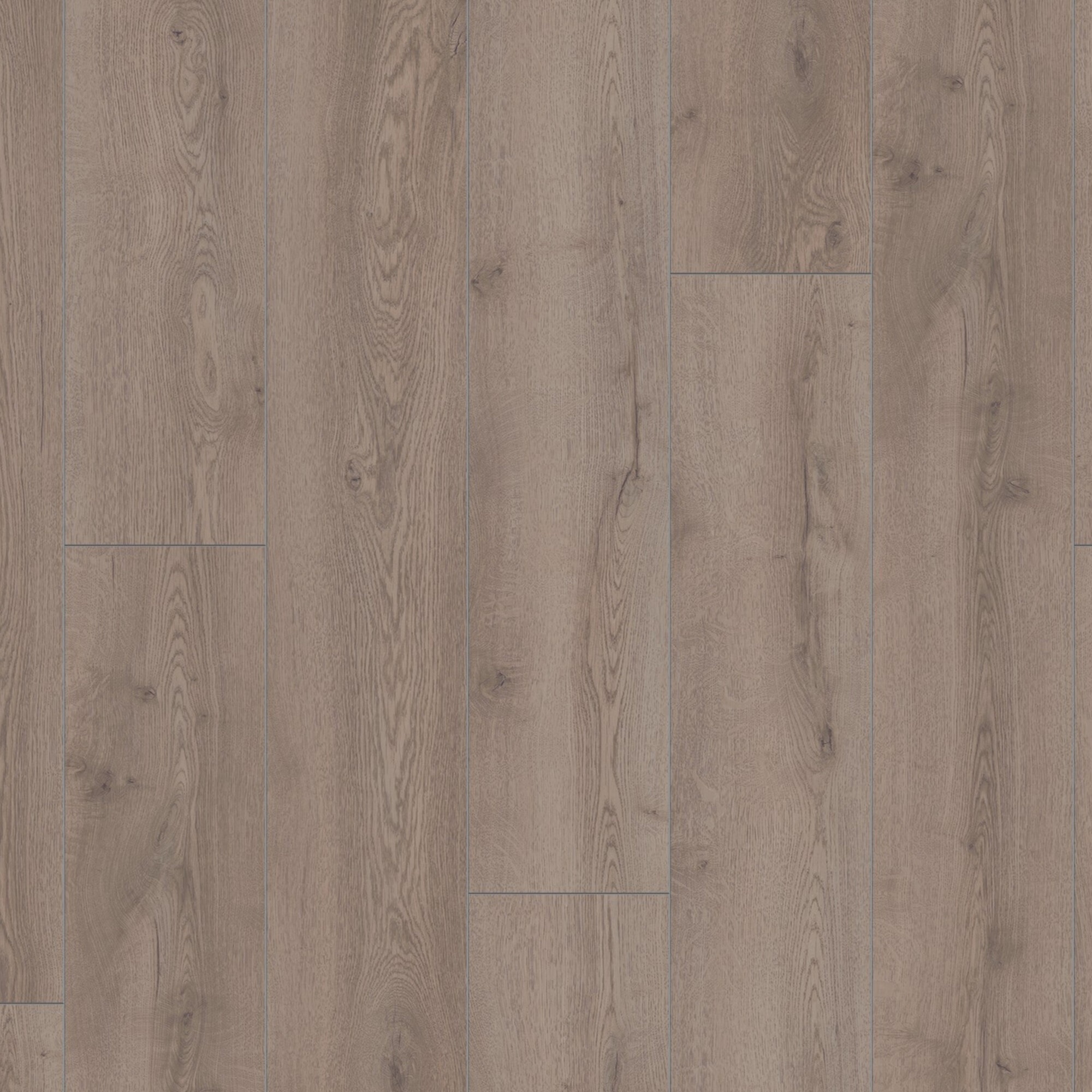 Ламінат Kronotex - Mountain Oak Grey, артикул D 4727, 33 клас, 10 мм. Колекція Mammut Plus. Виробництво Німеччина.