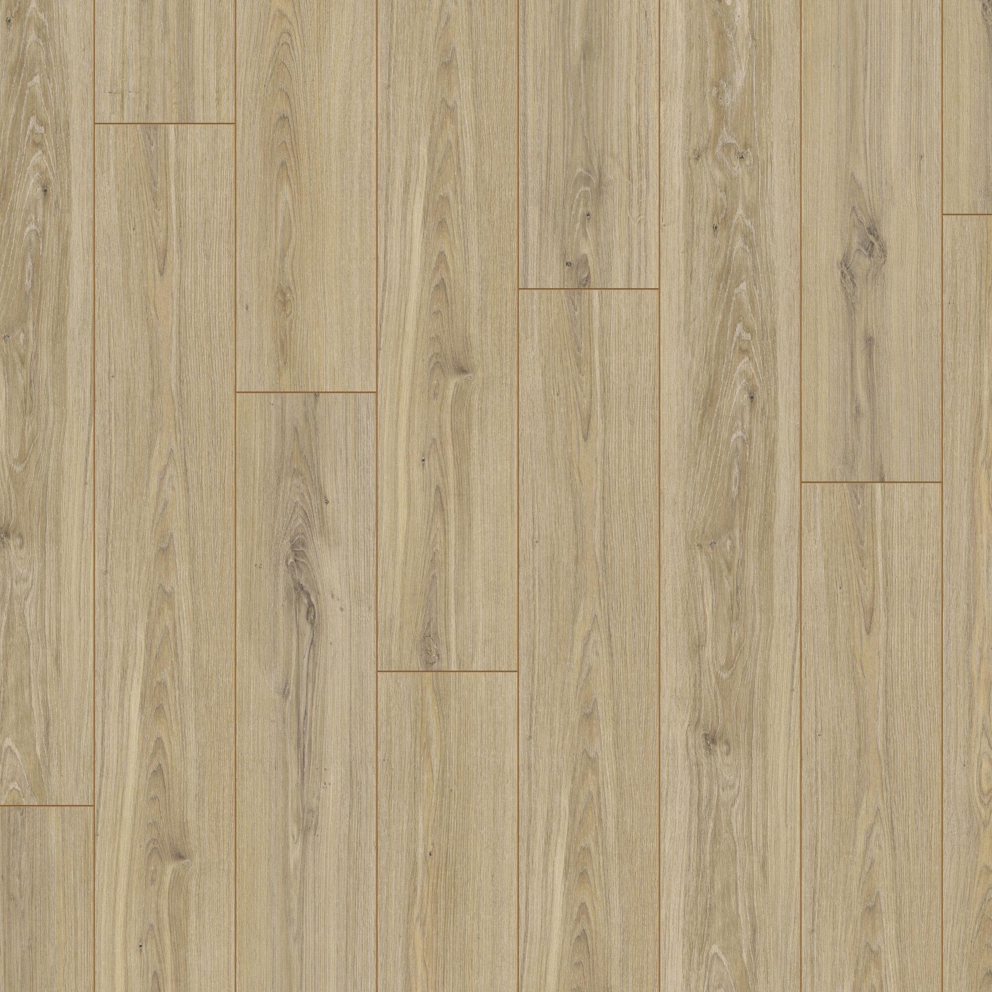 Ламінат Kronotex - Phalsbourg Oak, артикул D 3073, 33 клас, 12 мм. Колекція Robusto. Виробництво Німеччина.