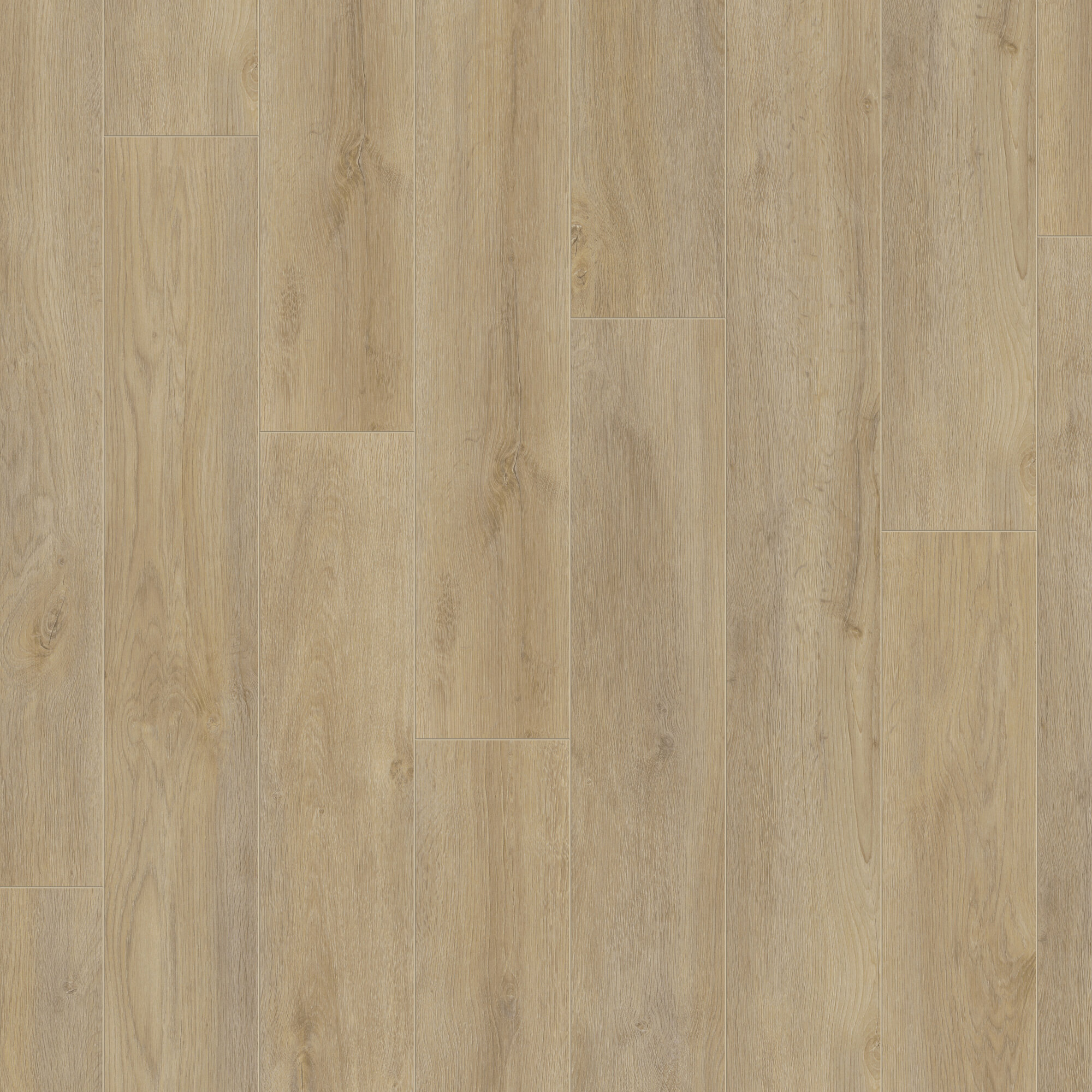 Ламінат Kronotex - Premium Oak, артикул D 4954, 33 клас, 12 мм. Колекція Robusto. Виробництво Німеччина.
