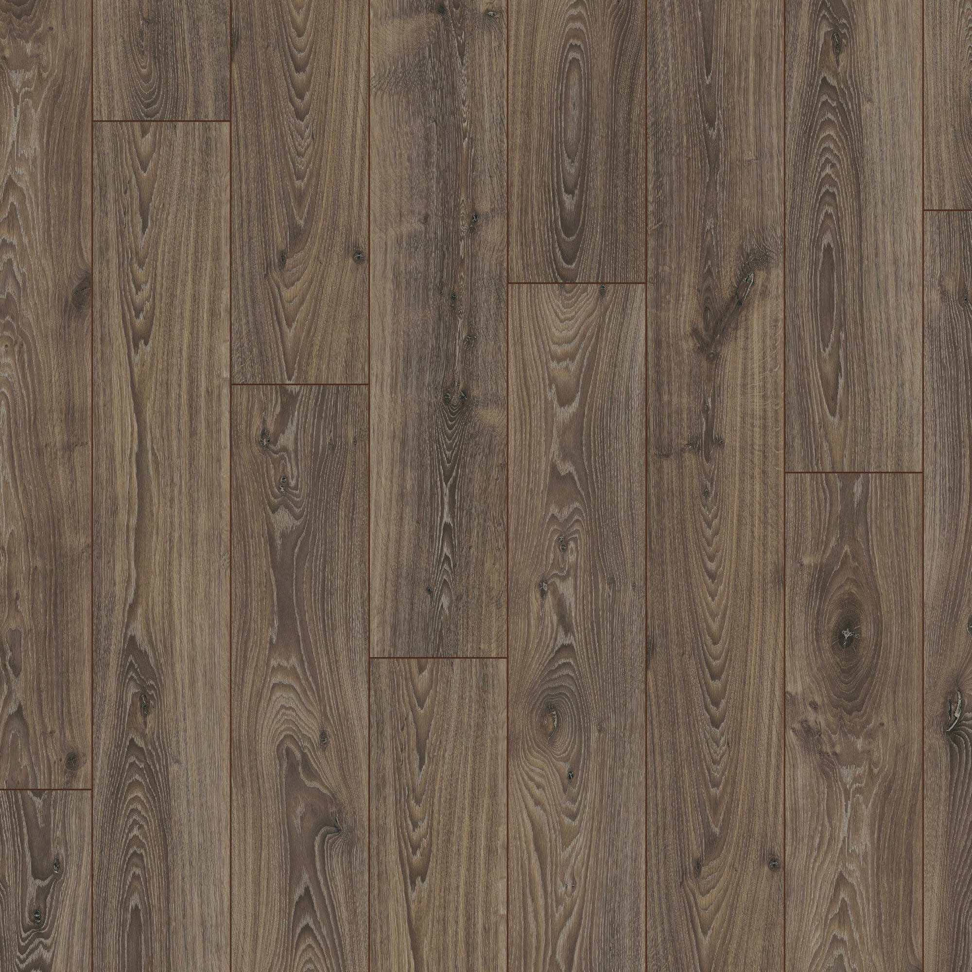 Ламінат Kronotex - Timeless Oak, артикул D 3590, 33 клас, 12 мм. Колекція Robusto. Виробництво Німеччина.