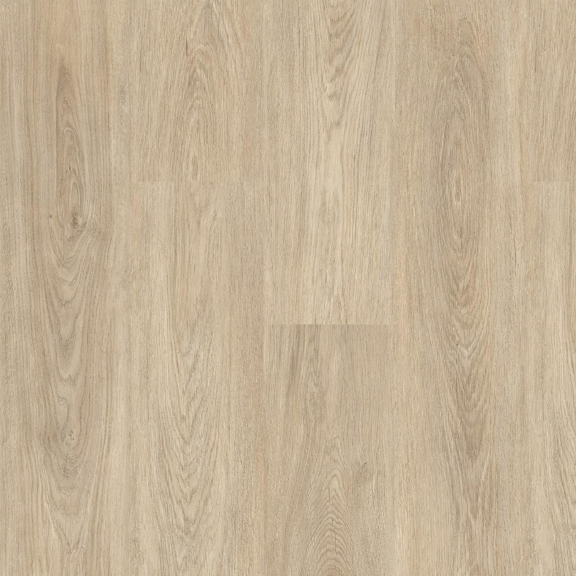 Ламінат Faus – Vanilla Oak, артикул S179998, колекція Sense. FAUS Іспанія.
