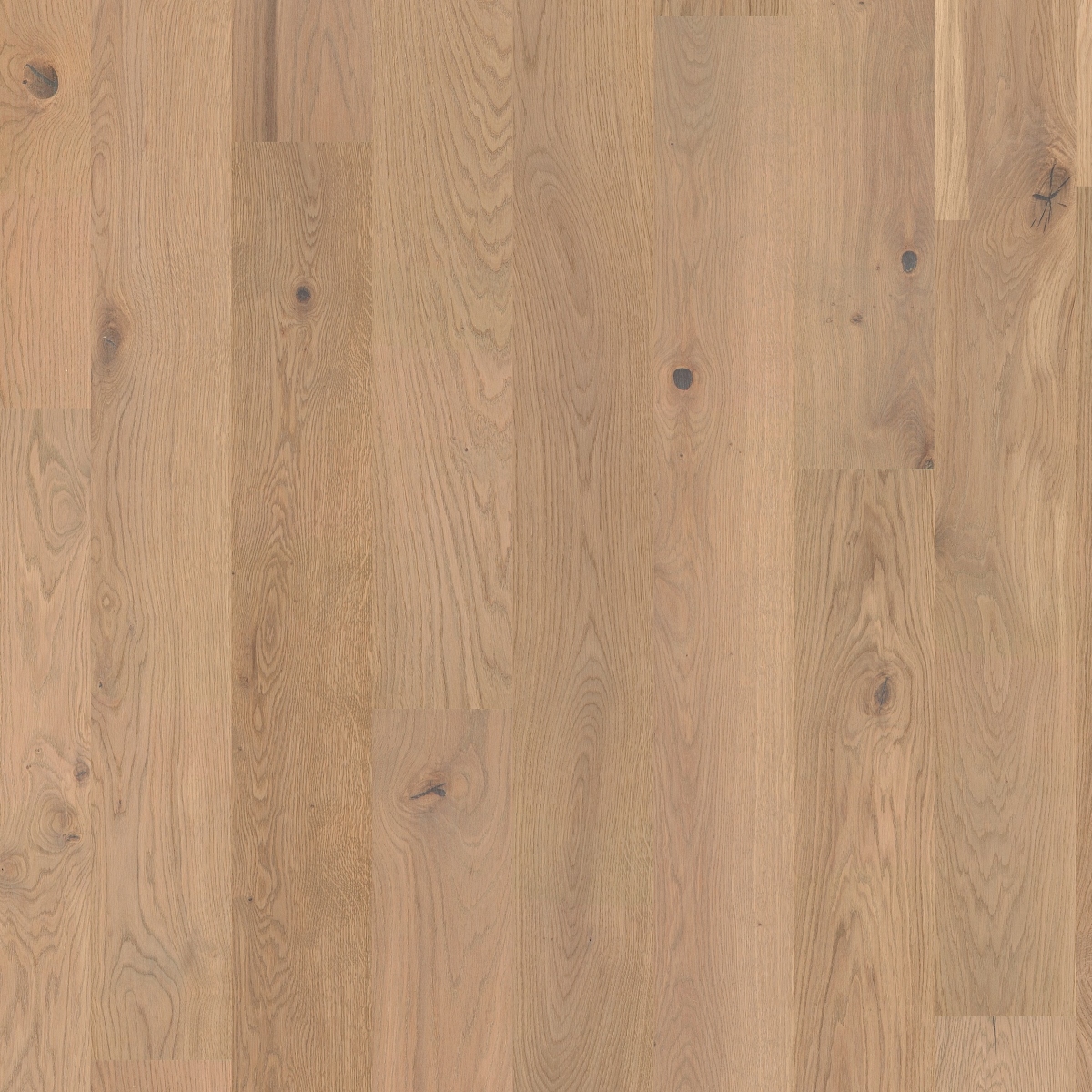 Паркетна дошка Tarkett – Oak Soft Beige (1 Strip) артикул 7878023, колекція Shade