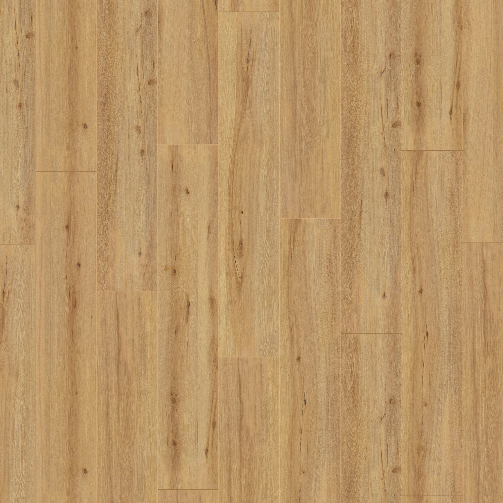 Ламінат Kronotex - Arizona Oak Nature, артикул D 80052, 32 клас, 8 мм. Колекція Exquisit Plus. Виробництво Німеччина.