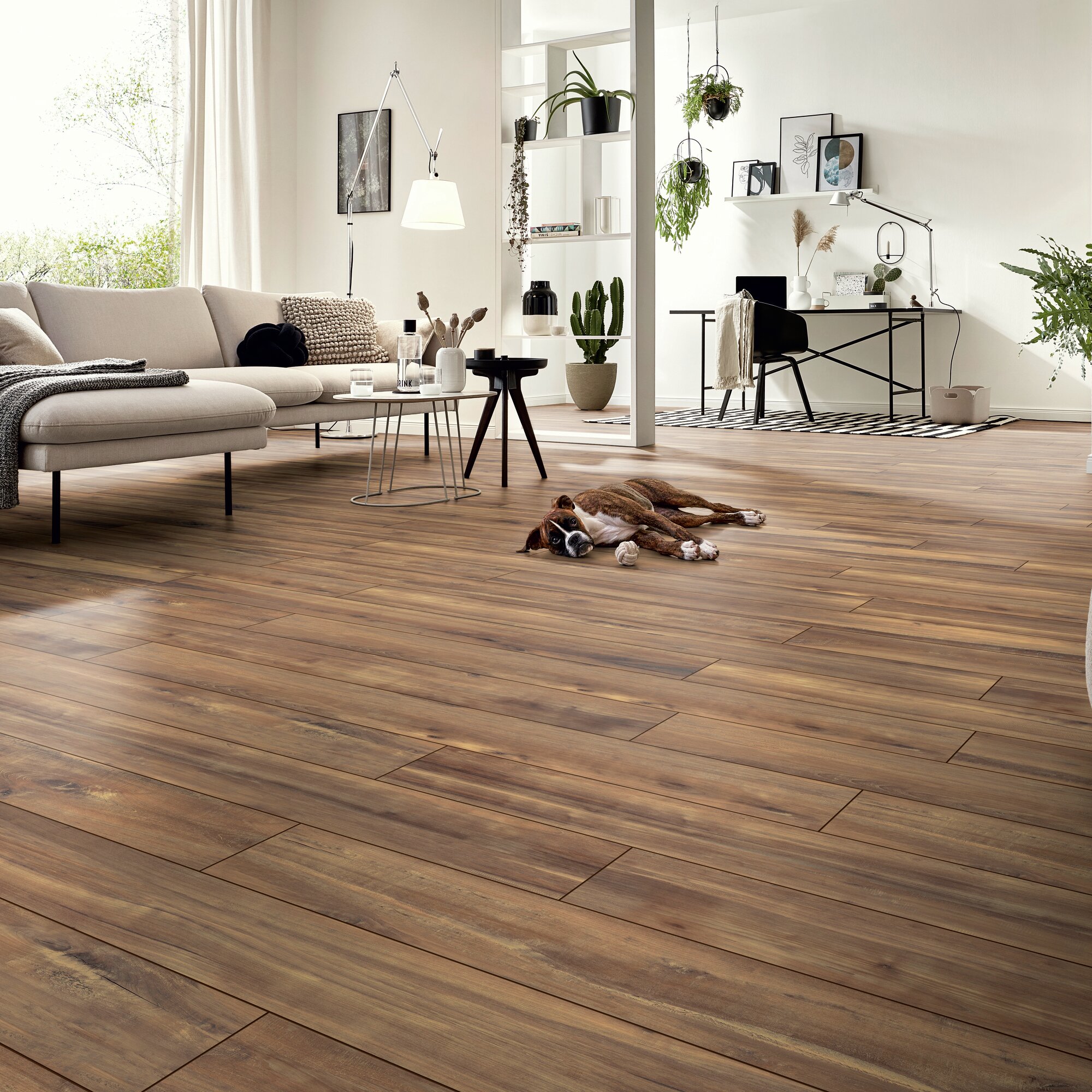 Ламінат Kronotex - Carisma Nature, артикул D 80102, 33 клас, 10 мм. Колекція Amazone. Виробництво Німеччина.