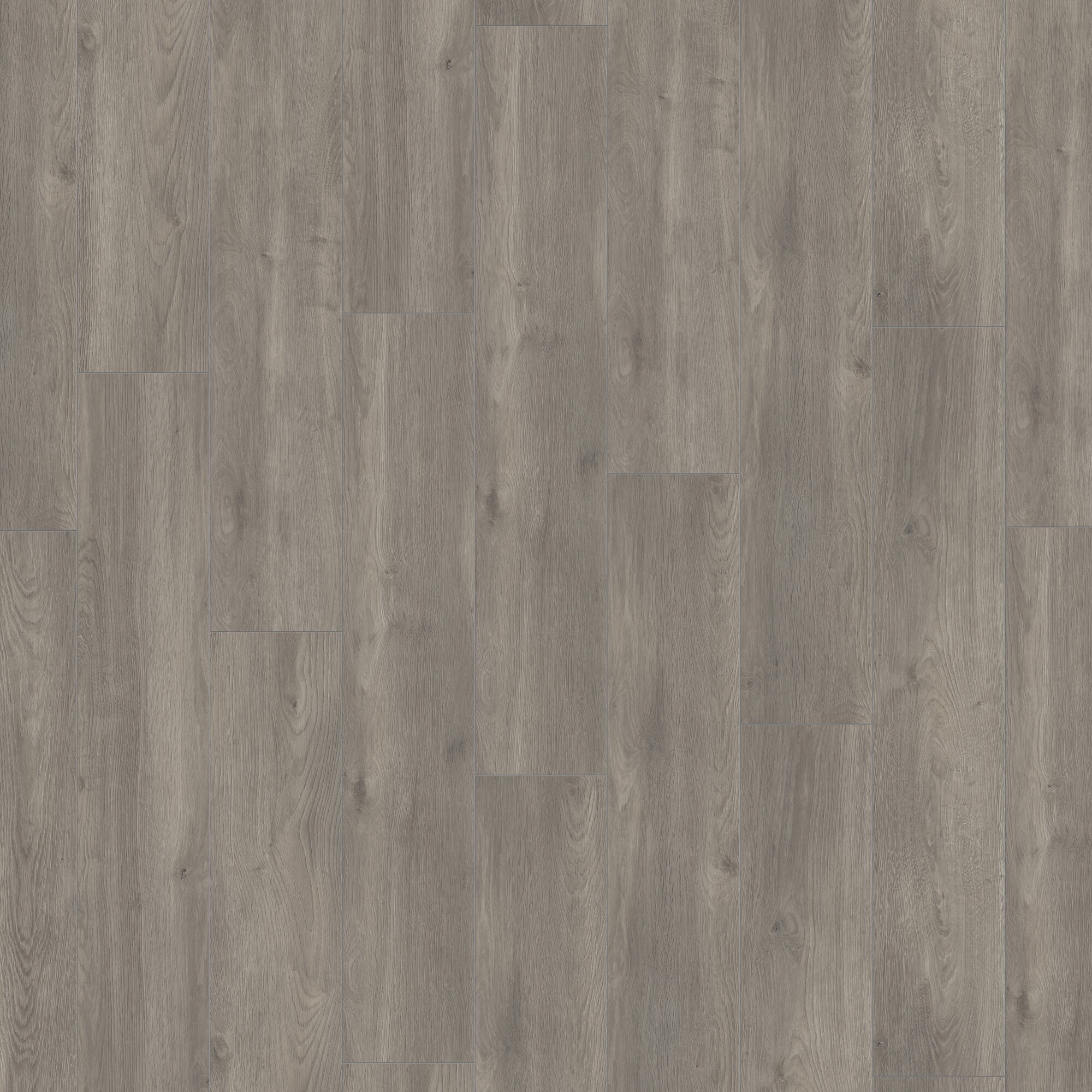 Ламінат Kronotex - Elba Oak Silver, артикул D 6013, 32 клас, 8 мм. Колекція Exquisit Plus. Виробництво Німеччина.