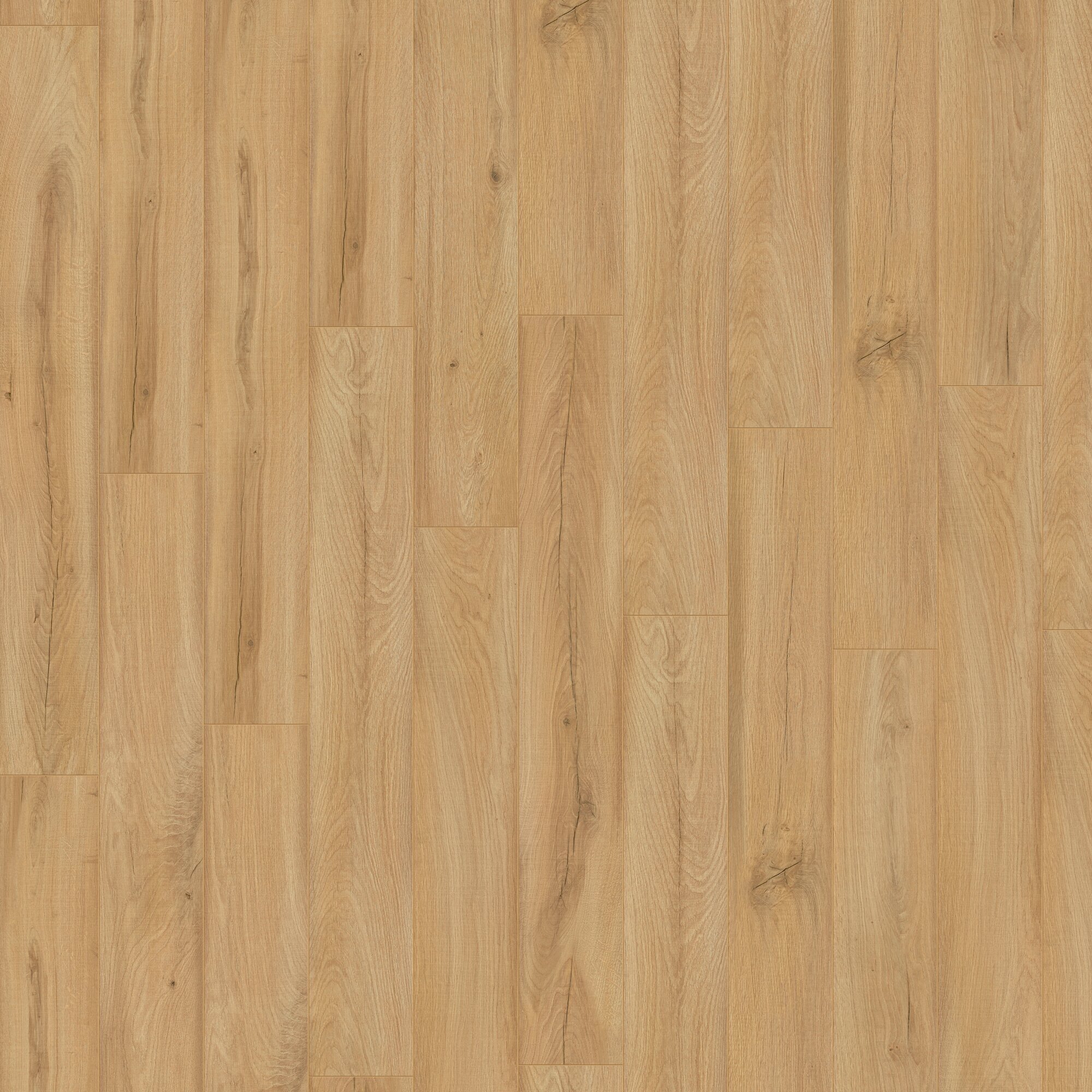 Ламінат Kronotex - Farm Oak Beige, артикул D 80062, 32 клас, 8 мм. Колекція Exquisit. Виробництво Німеччина.