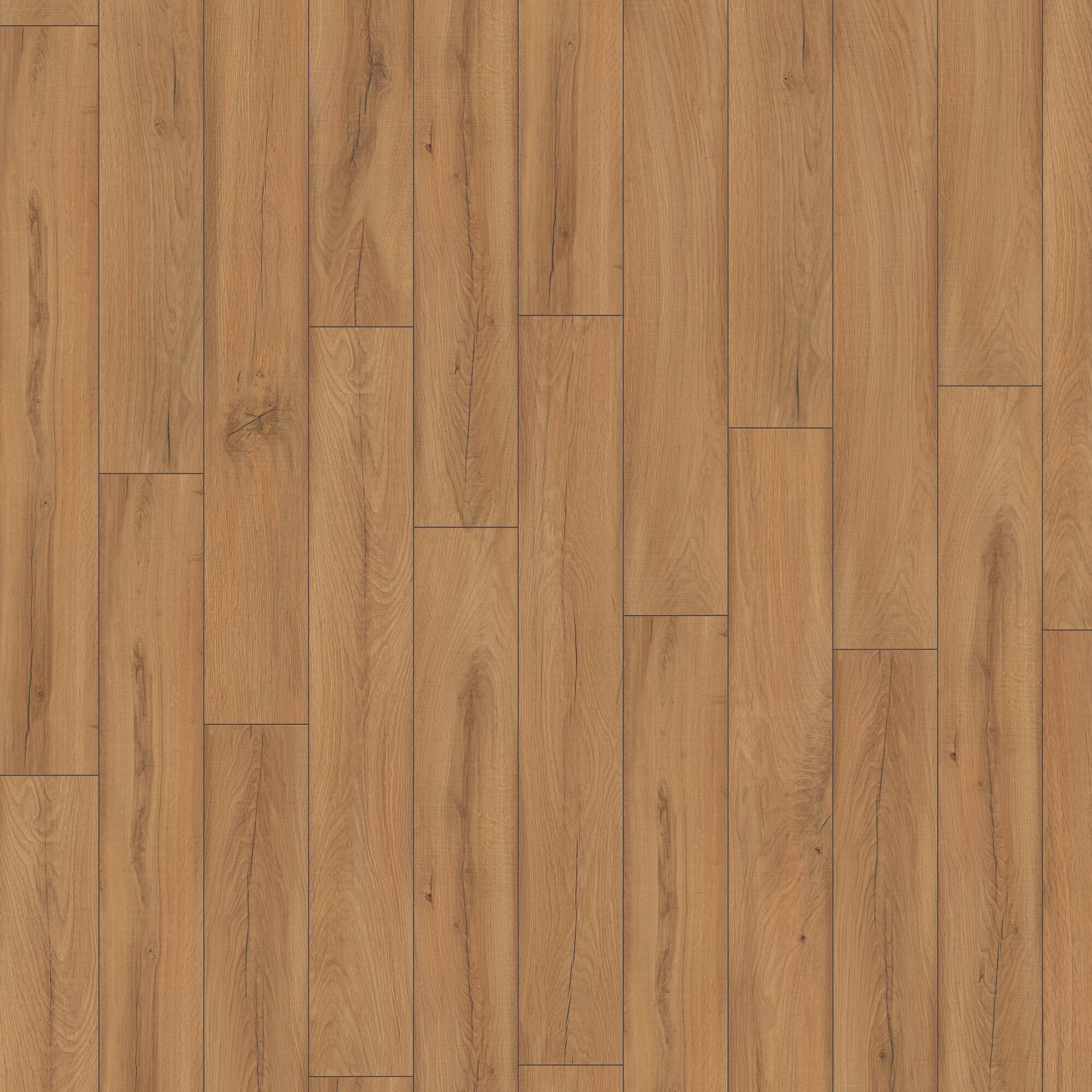 Ламінат Kronotex - Farm Oak Nature, артикул D 80072, 32 клас, 8 мм. Колекція Exquisit. Виробництво Німеччина.