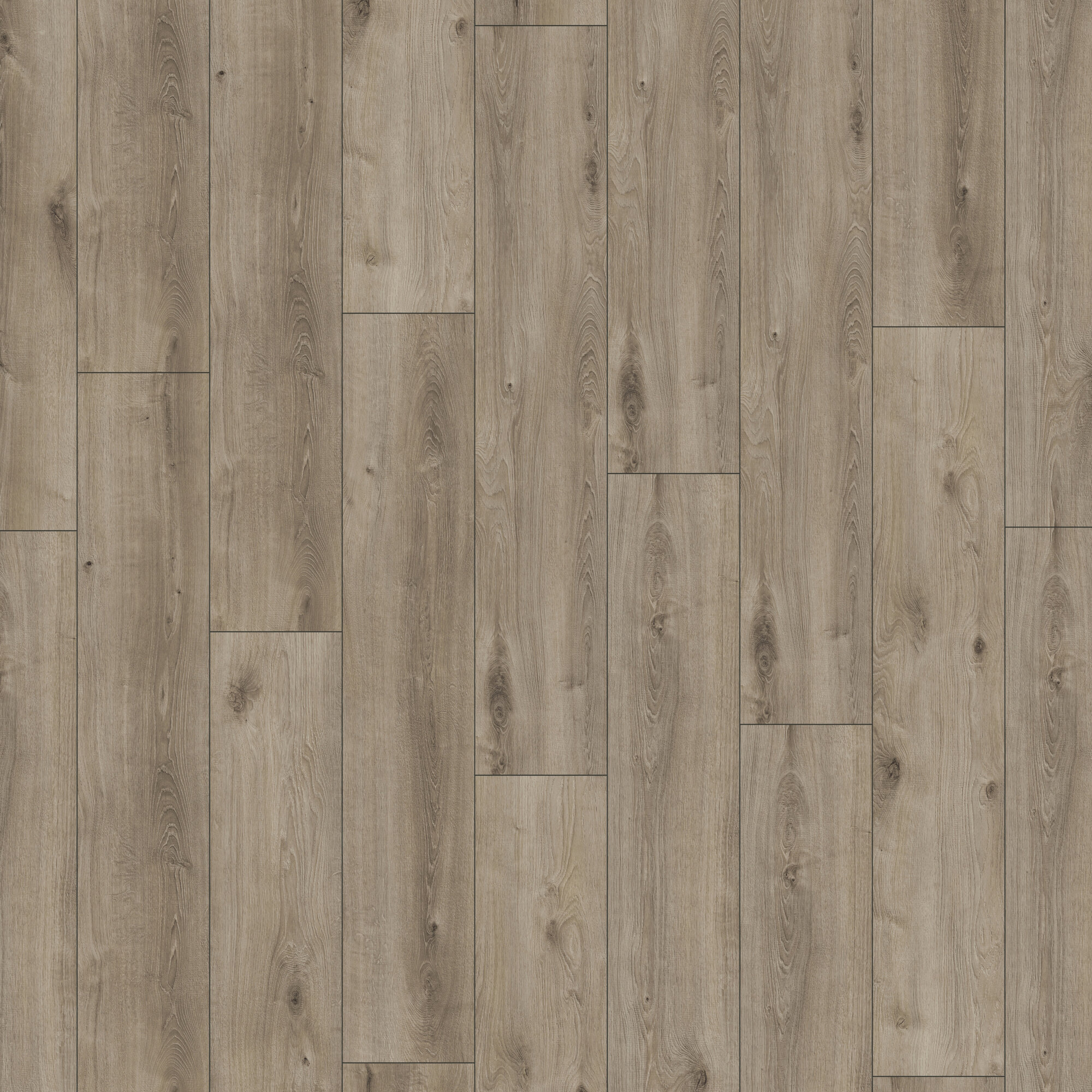 Ламінат Kronotex - Kashmir Oak Titanium, артикул D 6020, 32 клас, 8 мм. Колекція Exquisit Plus. Виробництво Німеччина.