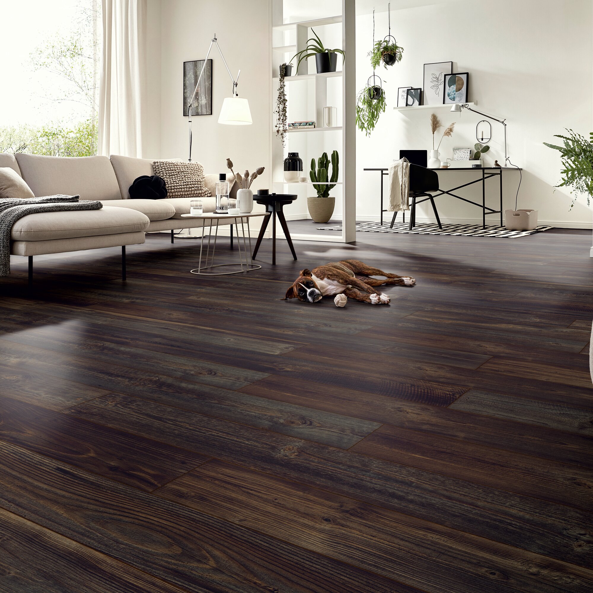Ламінат Kronotex - Mountain Pine Dark артикул, артикул D 80022, 33 клас, 12 мм. Колекція Mammut. Виробництво Німеччина.