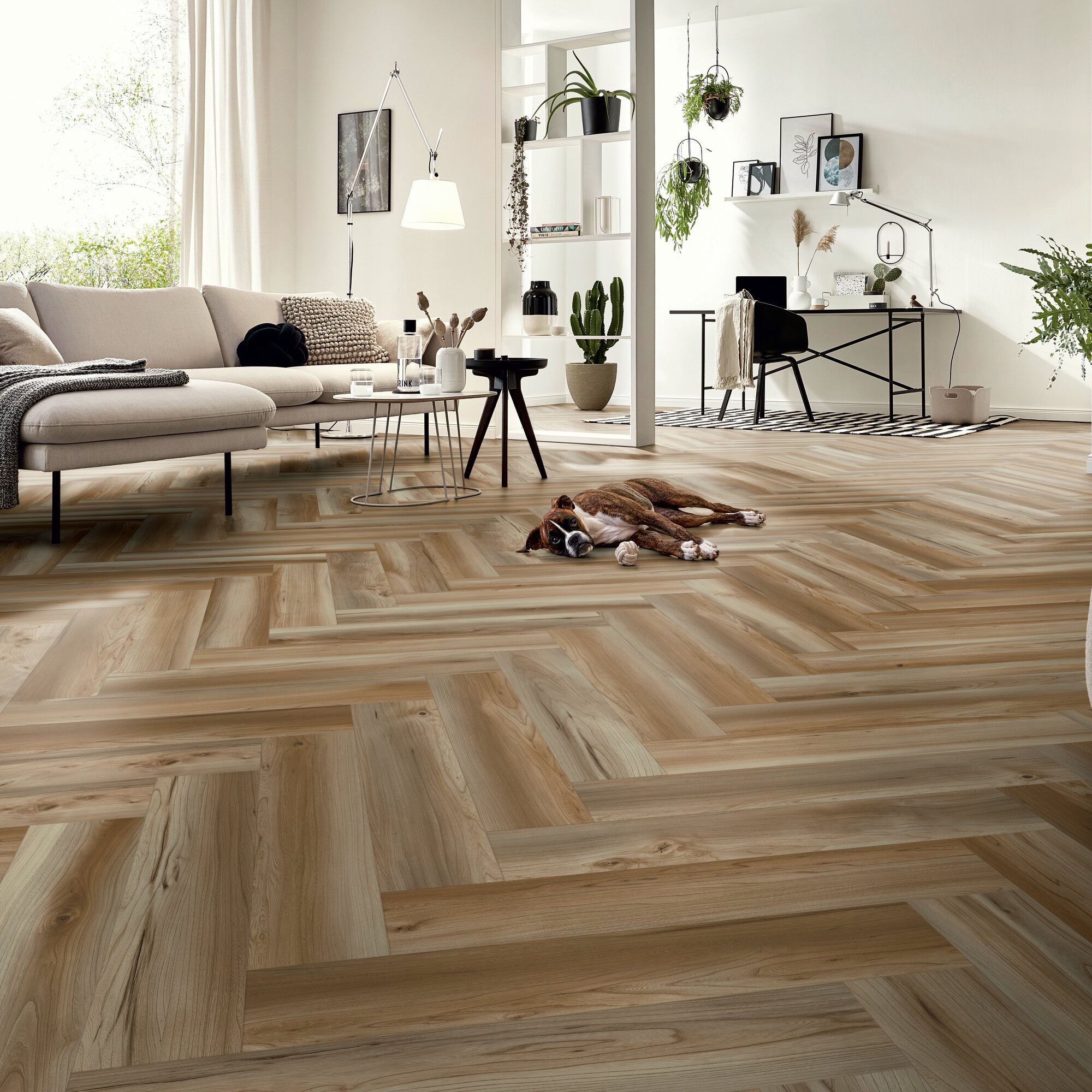 Ламінат Kronotex - Villosa Nature, артикул D 50172, 32 клас, 8 мм. колекція Herringbone. Виробництво Німеччина.