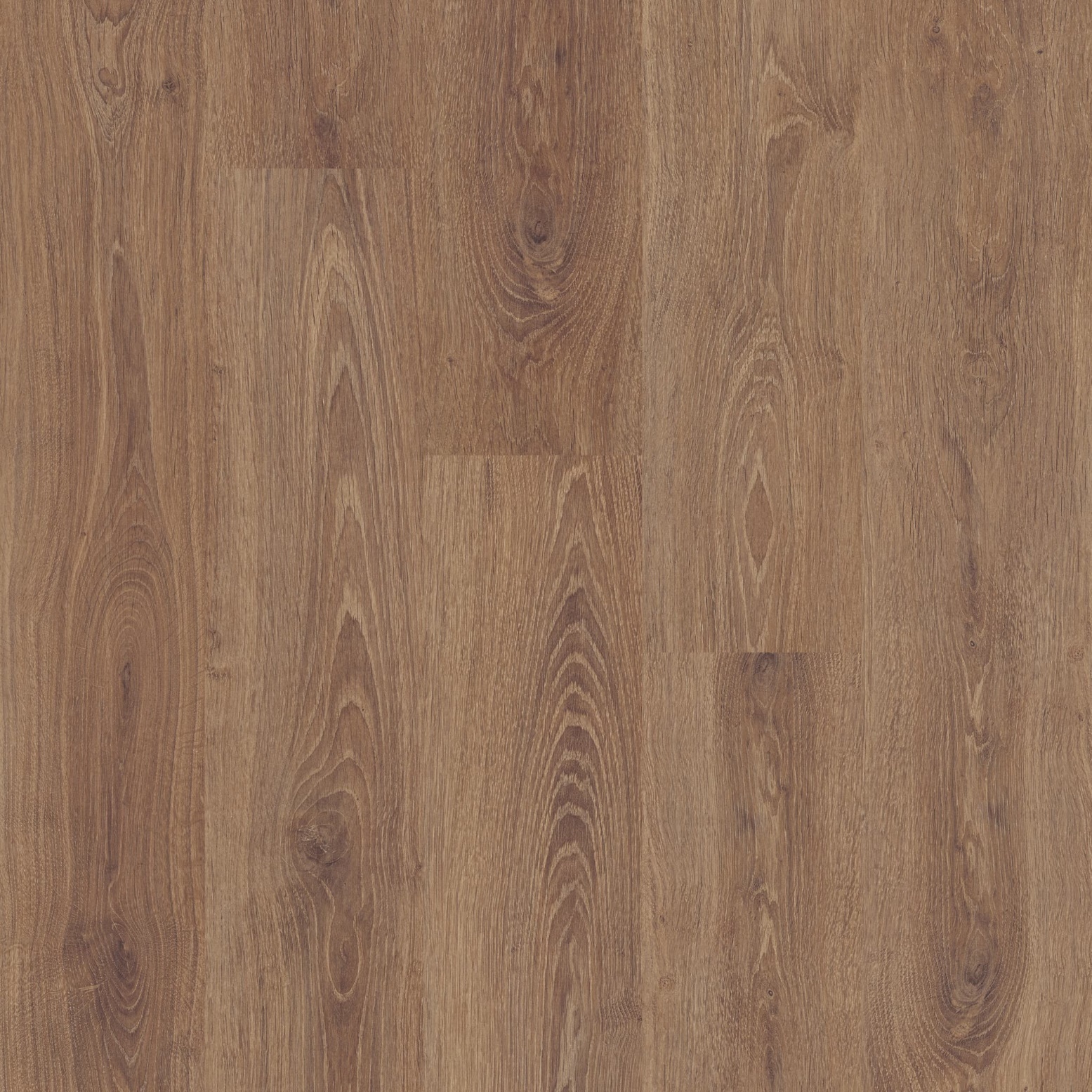 Ламінат Faus – Bermont Oak, артикул S184435, 33 клас, 8 мм. Колекція Tempo. Іспанія.