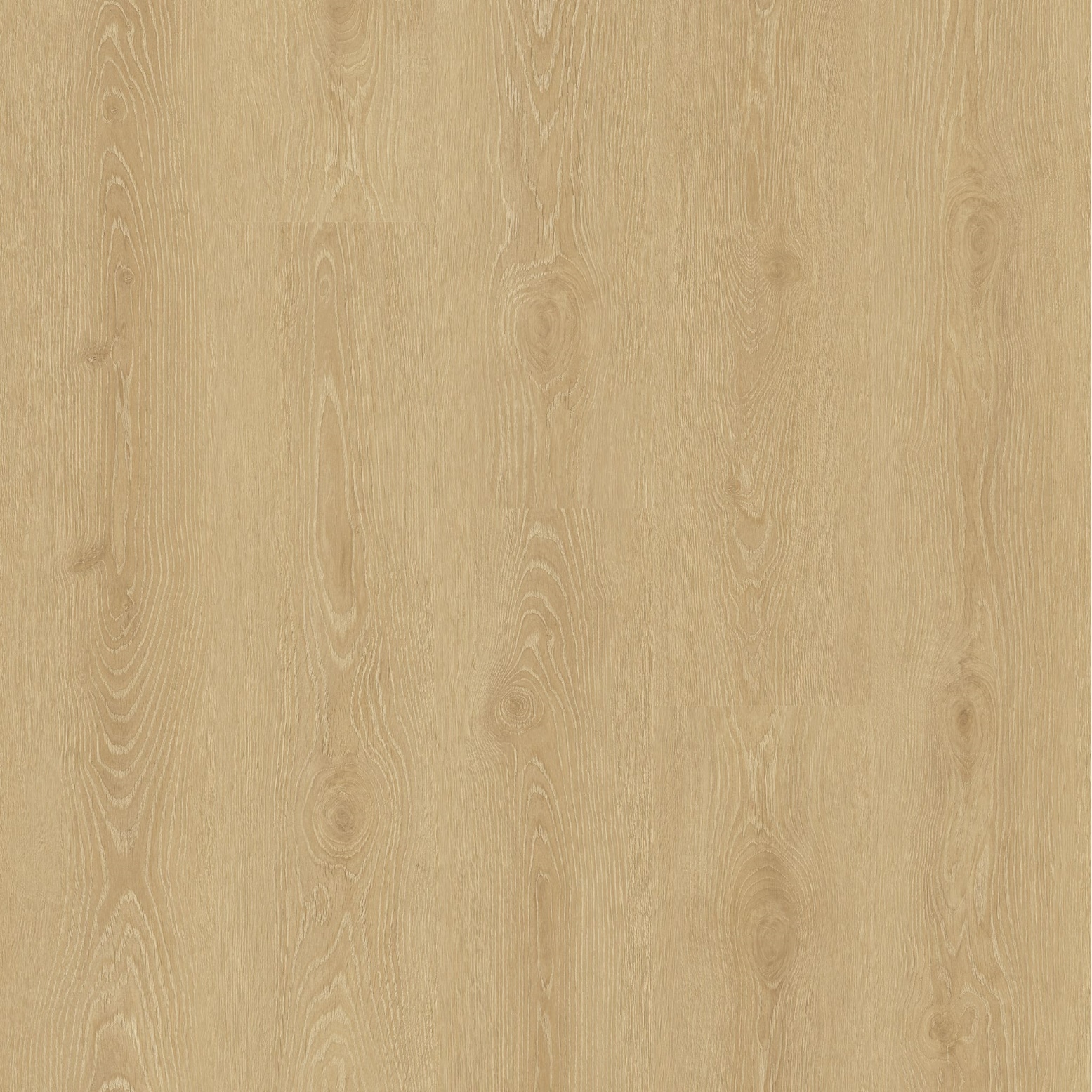 Ламінат Faus – Miranda Oak, артикул S184497, 33 клас, 8 мм. Колекція Tempo. Іспанія.
