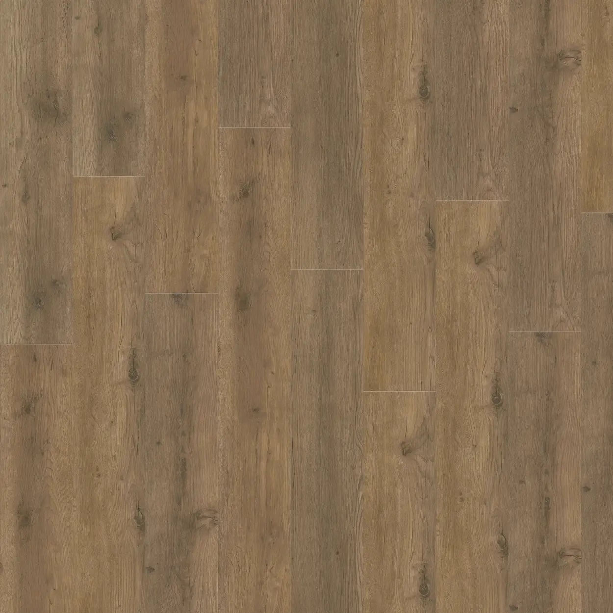 Вінілова підлога iVC – Major Oak, артикул 5855, 33 клас, 5+1 мм. Колекція Eterna Acoustic. Бельгія.