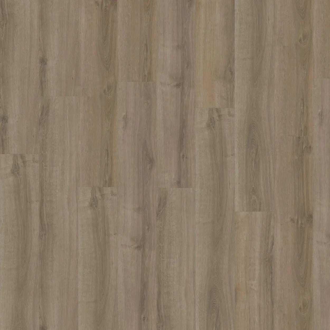 Вінілова підлога iVC – Summer Oak, артикул 5859, 33 клас, 5+1 мм. Колекція Eterna Acoustic. Бельгія.