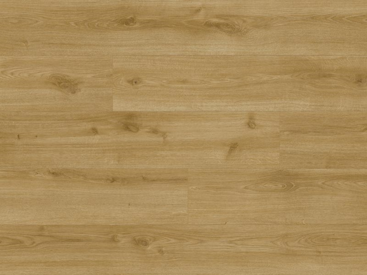 Ламінат Classen - Дуб Небраска, артикул 66703, 33 клас, 8 мм., колекція Trend 4V WR, виробництво Німеччина