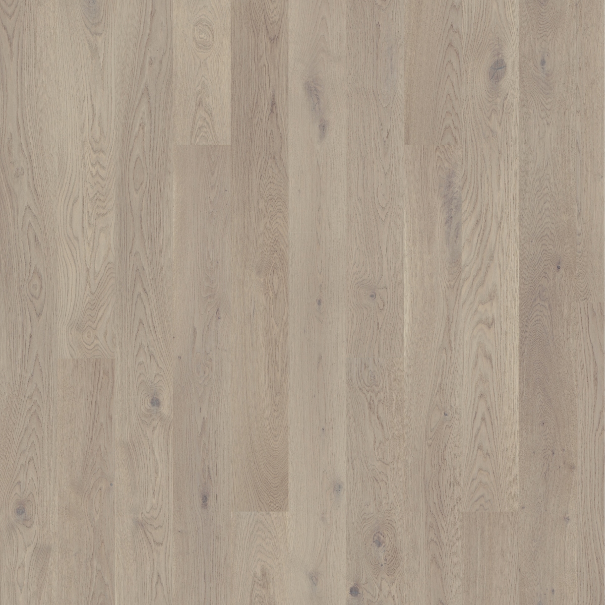 Паркетна дошка Tarkett – Oak Grey Chiffon (1 Strip) артикул 7876125, колекція Grace