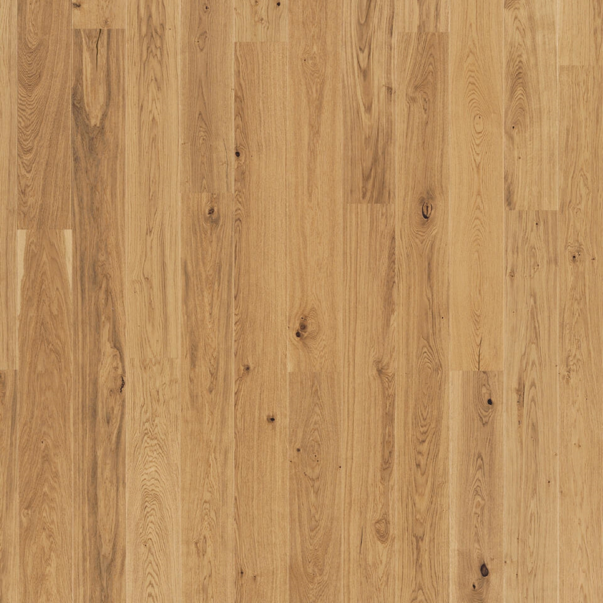 Паркетна дошка Tarkett – Oak Rustic (1 Strip) артикул 7876958, колекція Pure