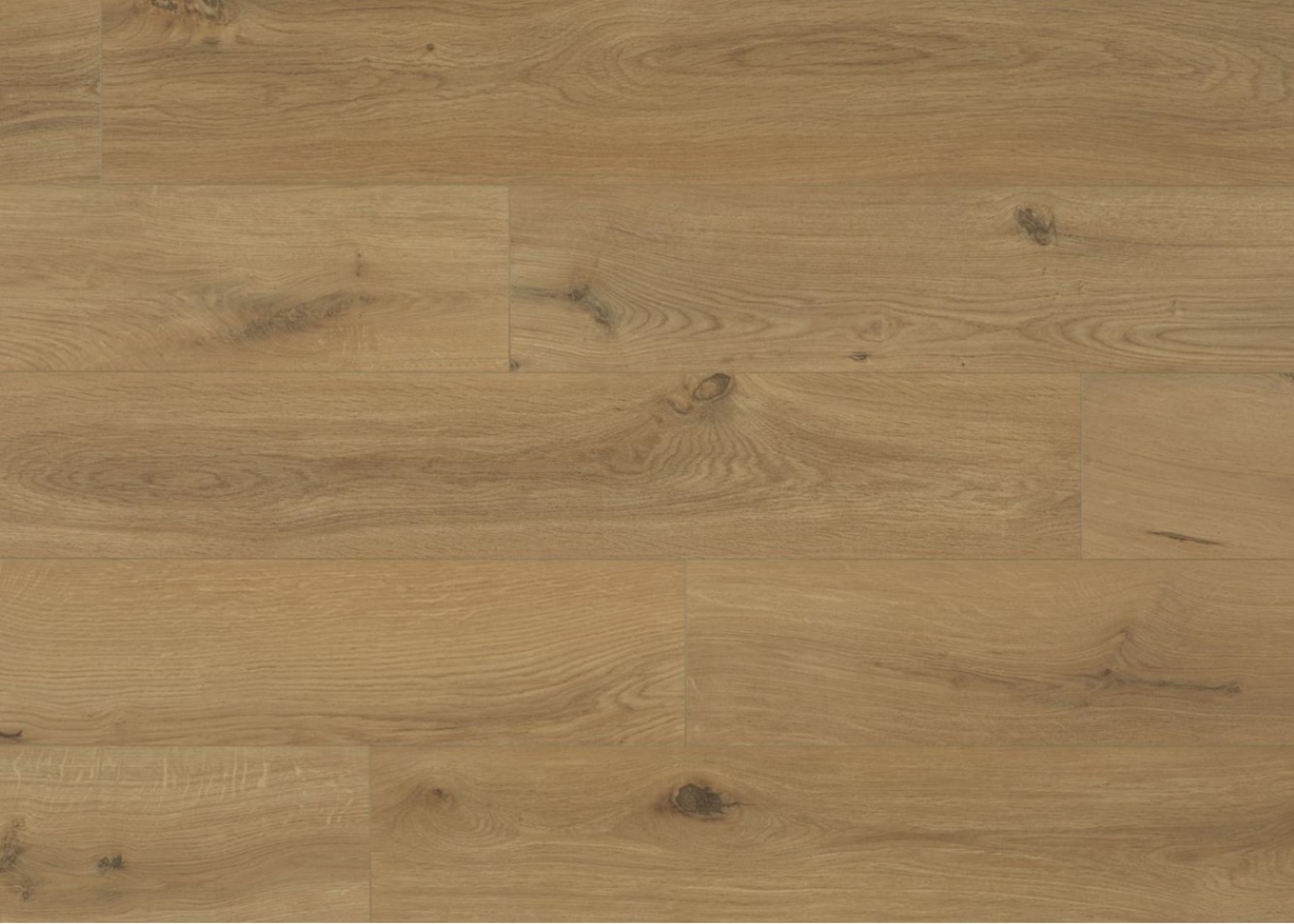 Ламінат Berry Alloc – Gyant Warm Natural, артикул 62002254, клас 32, товщина 8мм., колекції Connect 8 V4, виробництво Бельгія