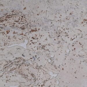 Корок для стін BazaLux - Everest Pearl. Виробництво Португалія